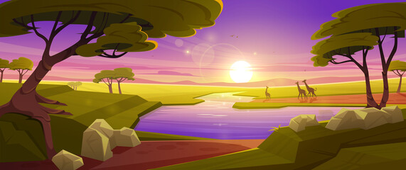 African savannah landscape with giraffes family walk to river at sunset background. Wild nature of Africa, Kenya with green trees, rocks and grassland field under dusk sky, Cartoon Vector illustration