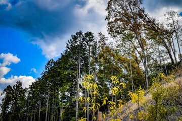VISON（ヴィソン）・三重県多気町を散策する