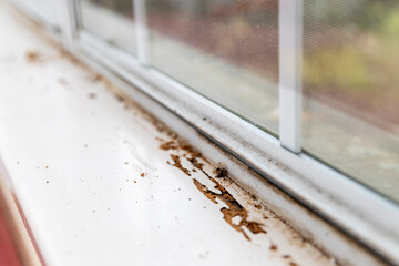 Window sill showing termite damage