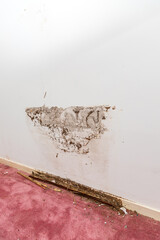 Termite and water damage on wall and baseboard of home