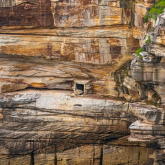Colours of the sea cliff, Diamond Bay, NSW, December 2021
