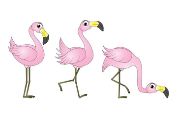 cute flamingo bird cartoon graphic