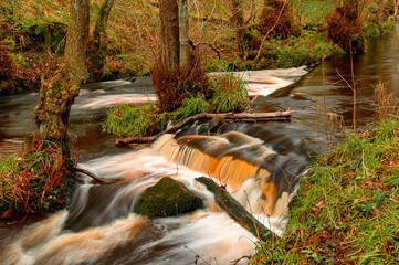 Obraz na płótnie Canvas waterfall in autumn forest
