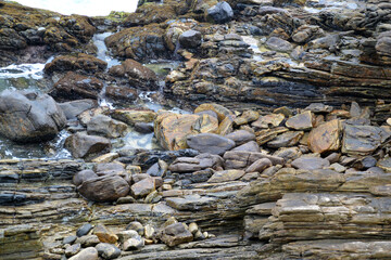 bark for creating background and texture
