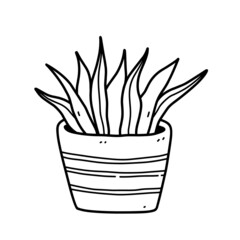 Cute houseplant in flower pot isolated on white background. Vector hand-drawn illustration in doodle style. Perfect for cards, decorations, logo.