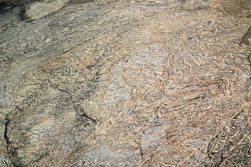 bark for creating background and texture
