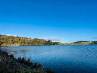 lake and forest