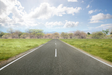 Asphalt road with green grass