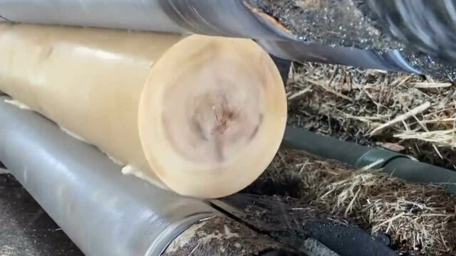 Timber processing