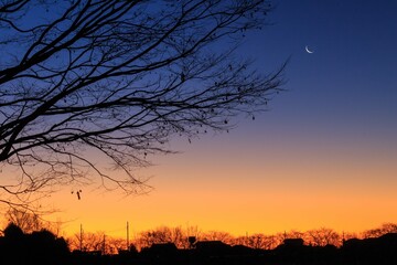 マジックアワー