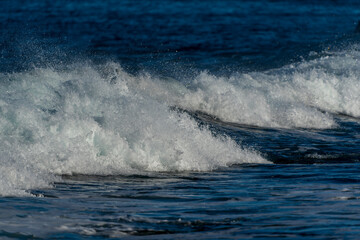 Fototapeta premium wave in the sea