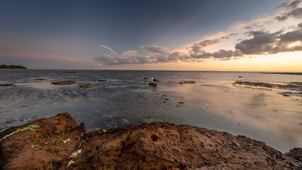 Ricketts Point marine sanctuary