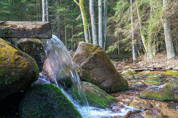 Mysterious stream. Landscape. Dark forest.