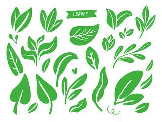 Green leaves icon set in flat style. Organic and nature logo element set.