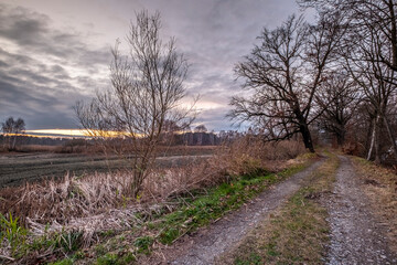 Abendstimmung im Biosphärenreservat Oberlausitzer Heide- und Teichlandschaft