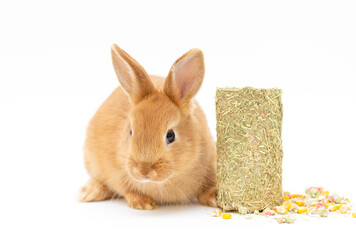 rabbit pet feed dry Food isolated on a white background - Powered by Adobe