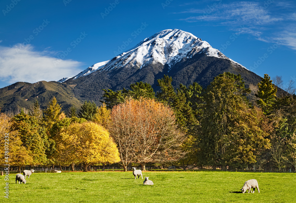 Wall mural new zealand landscape