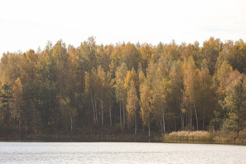 Telephoto lens close up photography of a little bit overexposed sky with autumn type trees.