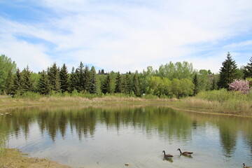 The Lake In May, Gold Bar Park, Edmonton, Alberta