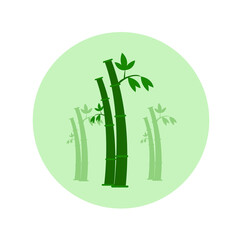 bamboo  illustration logo vector