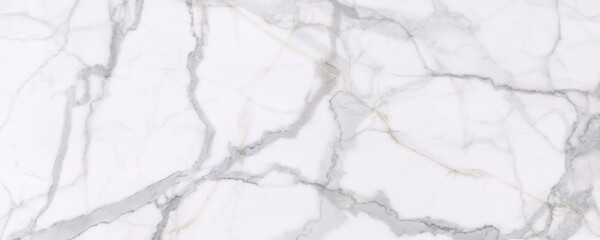 hard gray veined marble background with white background