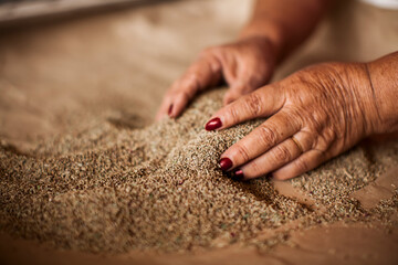 Hand of gardener holds seedling of small apple tree in her hands preparing to plant it in the ground. Tree planting concept. High quality photo