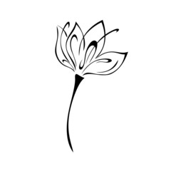 ornament 2129. one stylized flower with large petals on a short stalk. graphic decor