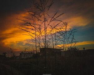 refleja un poco de soledad con ese toque de nostalgia al ver el atardecer 