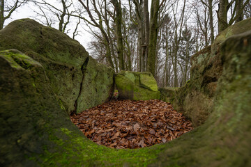 Fototapete bei efototapeten.de bestellen   