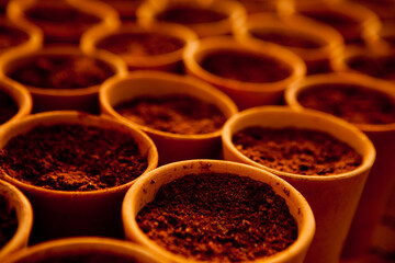 seeding in greenhouse. seeding plants greenhouse. seeding in greenhouse concept. plant seeding in greenhouse. new life. high quality photo.