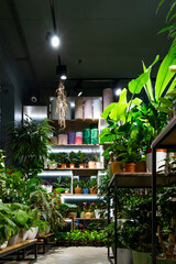 interior of a floristic shop selling potted plants and bouquets in loft style