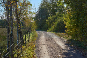 A gravel road passing by between green trees and a pasture.
