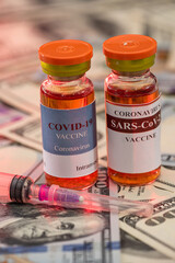 a new vaccine was brought to a small village to vaccinate villagers.