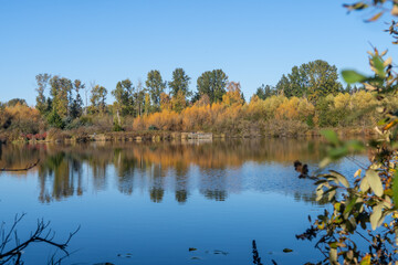 Larsen Lake Blueberry Farm