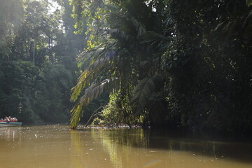 nature landscape in tortuguero costa rica