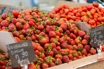 eco strawberries at the market