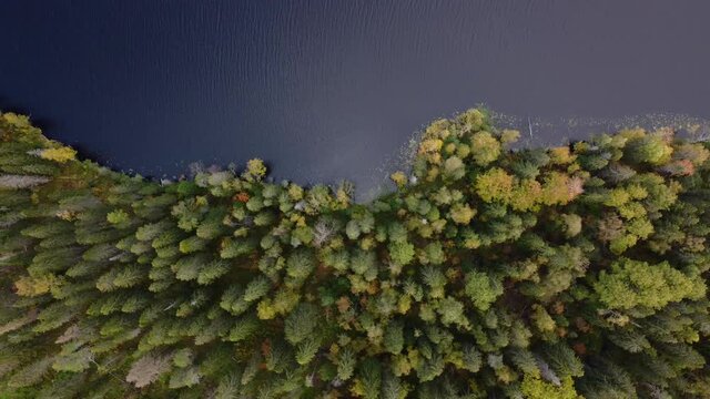 Beautiful nature of Karelia republic. Aerial view from drone to the lake. Aqua colour of water. Russian geographic. Amazing panoramic view to the forest. Sight and karelian showplace. 