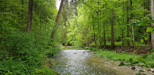 Obraz premium La Menoge à l'Automne