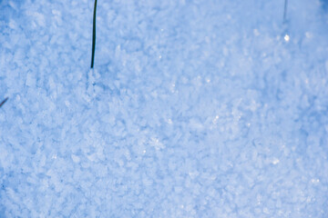 Fototapeta premium Iced dew on the grass and leaves on the land, cold and snow