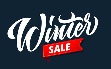 Winter Sale. Snowflakes and snow with winter text, word and lettering. Winter concept, logo template and sign. Horizontal format. Vector illustration for print and web.
