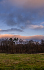 Obraz premium Vertical sunset view of a forest in Luxembourg
