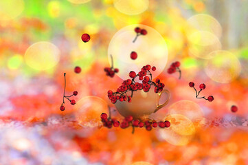 Obraz na płótnie Canvas Rowanberries with Colorful Background