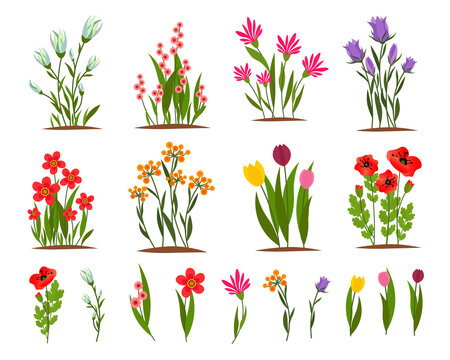 Set of spring flowers on the garden bed. Floral vector drawing. For use in decor, postcards, flower shops, brochures and covers, prints.