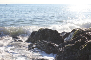 波　海辺　湘南
