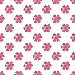 Pink flower. Watercolor background. Seamless pattern on a white background.