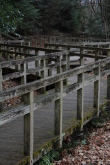 Fototapeta premium 手すり 橋 廊下