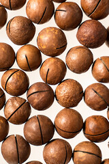 macadamia nut on white background