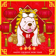 Cute French bulldog French bulldog wearing tiger costume with money and Red Lantern  to celebrate Chinese New Year