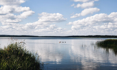 Landscape photo of a lake and blue sky