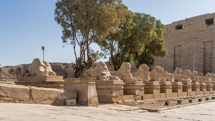 Alley of sphinxes- rams in the ancient Karnak temple of Luxor. Dilapidated statues stand in a row on pedestals. Behind them are green trees against a blue sky. Egypt